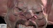 VAMPIRERENDER 5.jpg