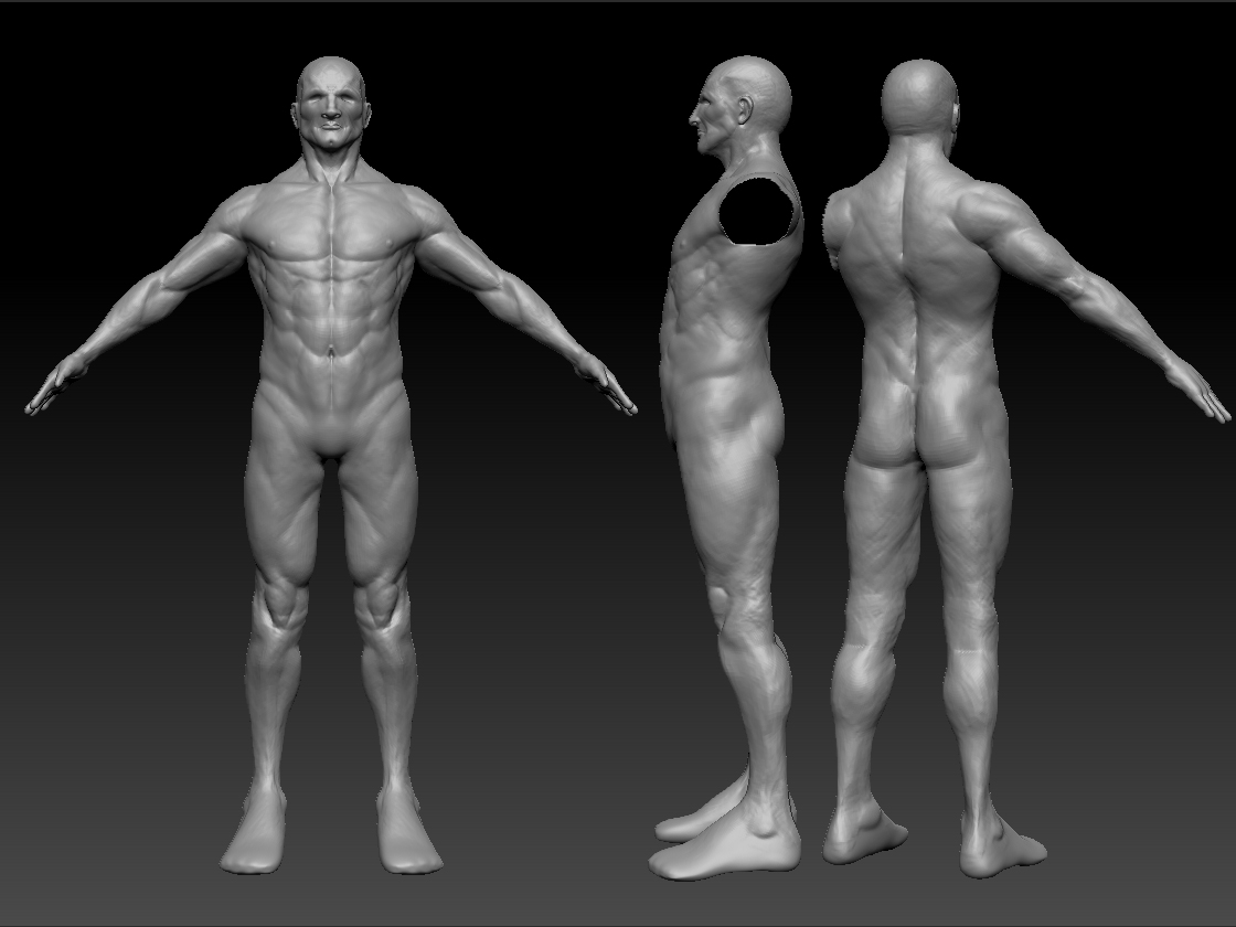 torso.jpg