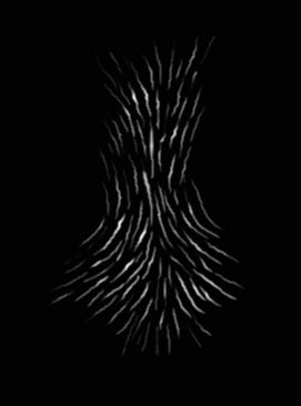 neck stipple 1 alpha.jpg