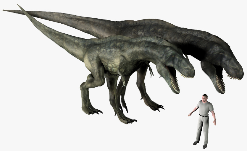 z Tarbosaurus bataar and Tyrannosaurus rex04.jpg