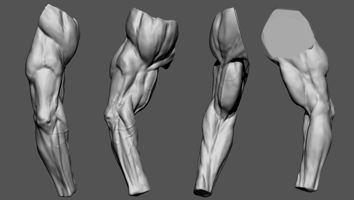 Arm.jpg