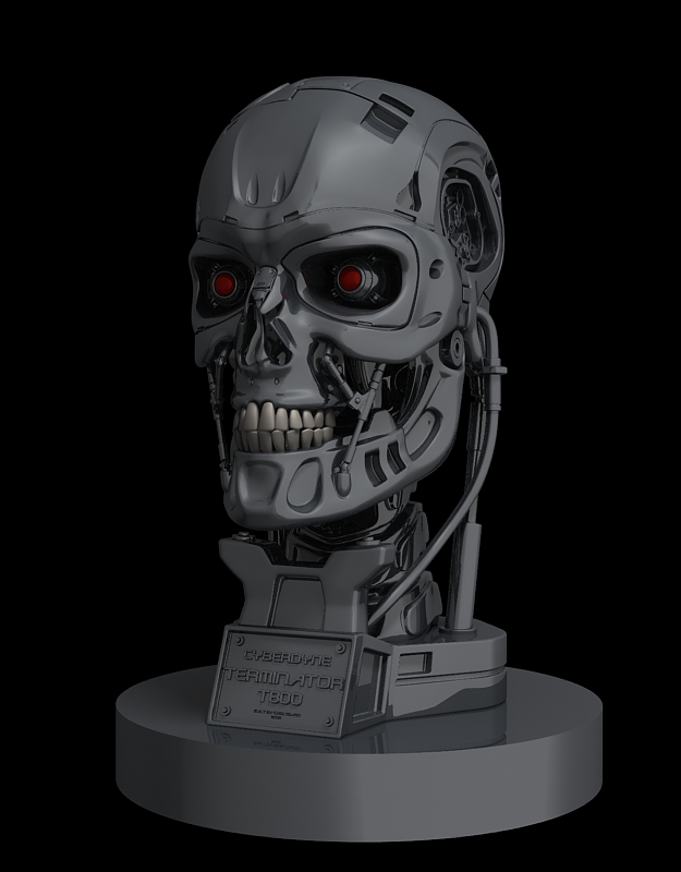 t800_fertig1.jpg