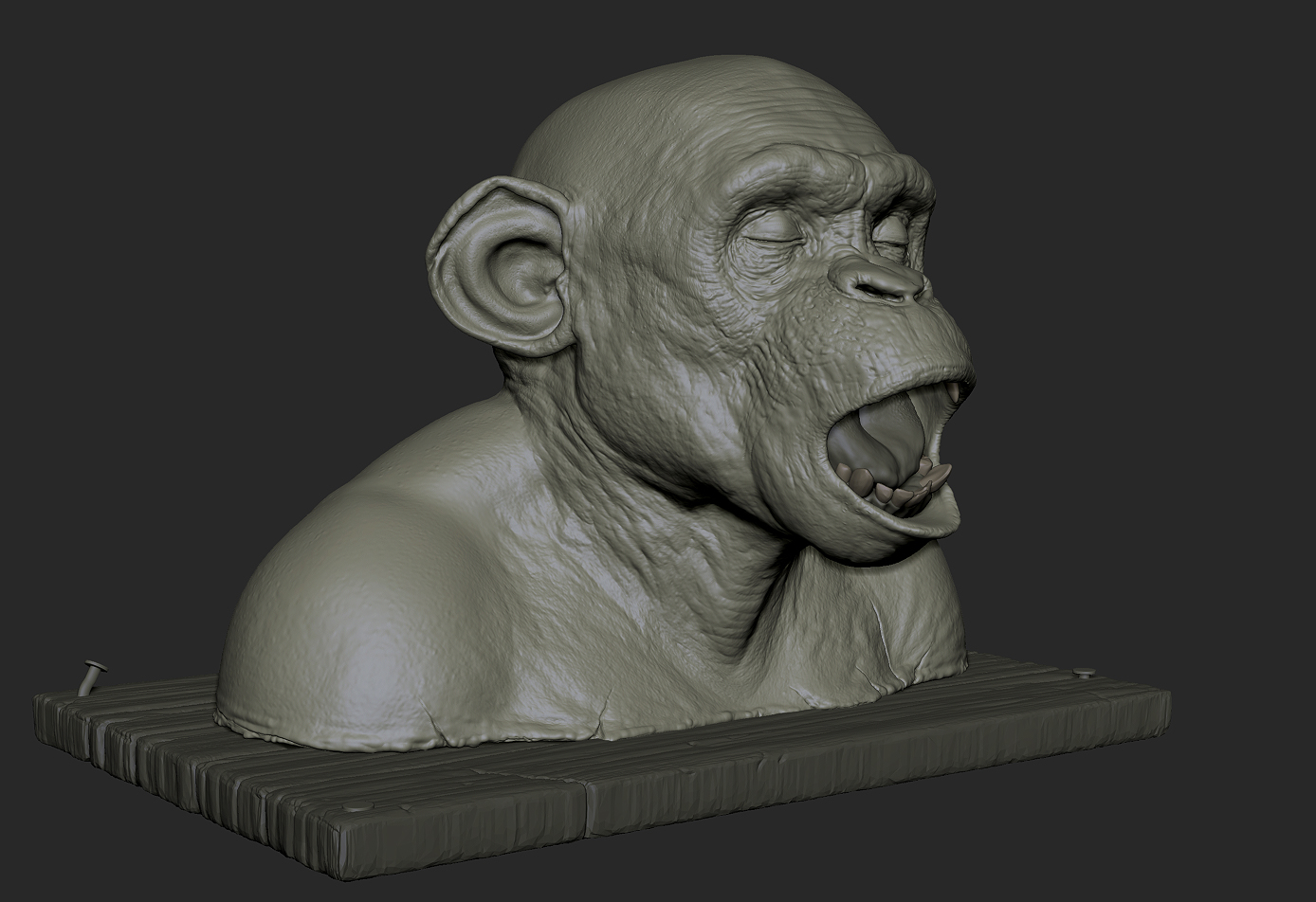 ape autopsy pt2 001.jpg