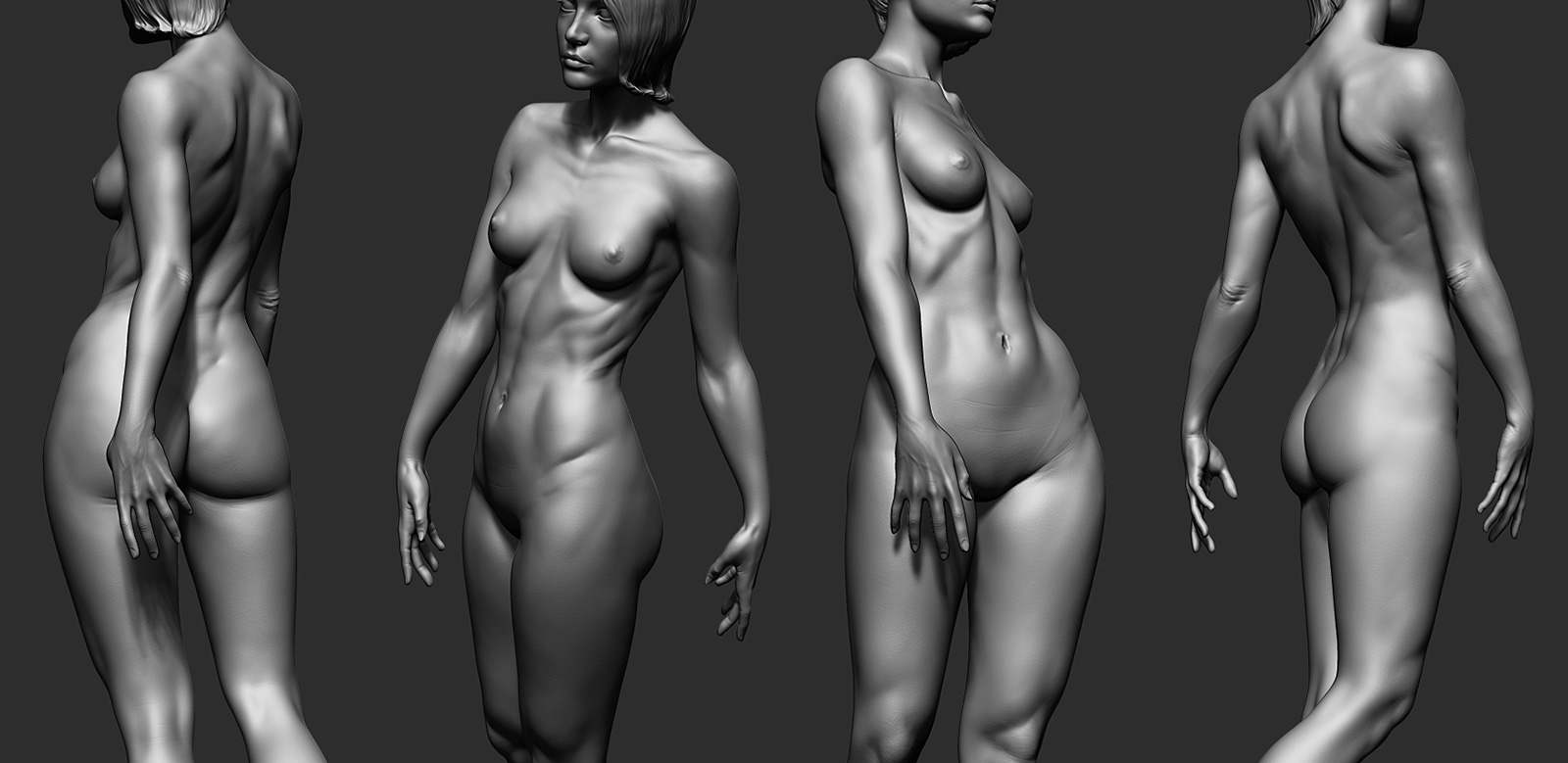 femaleanatomyposedwip3.jpg
