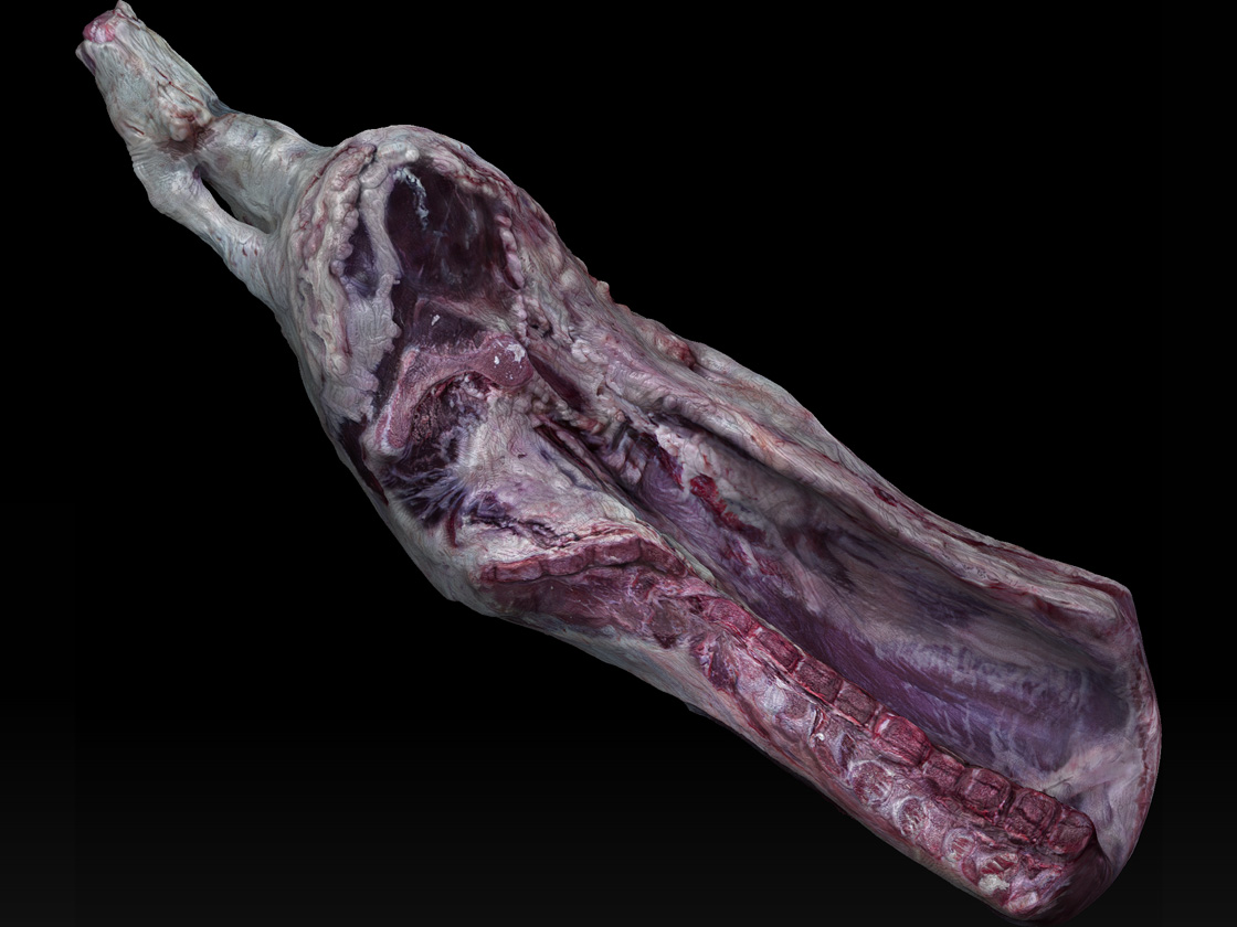 Meat1.jpg