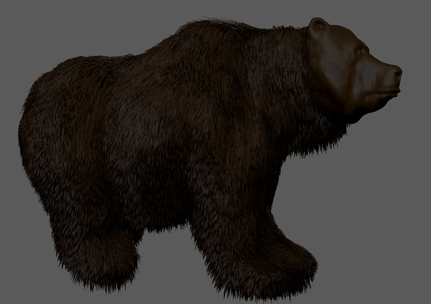 GRIZZLY BEAR FUR 1.jpg
