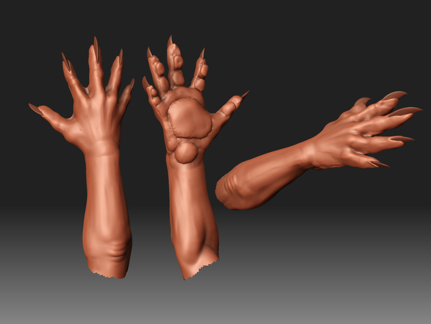 p12_hands.jpg