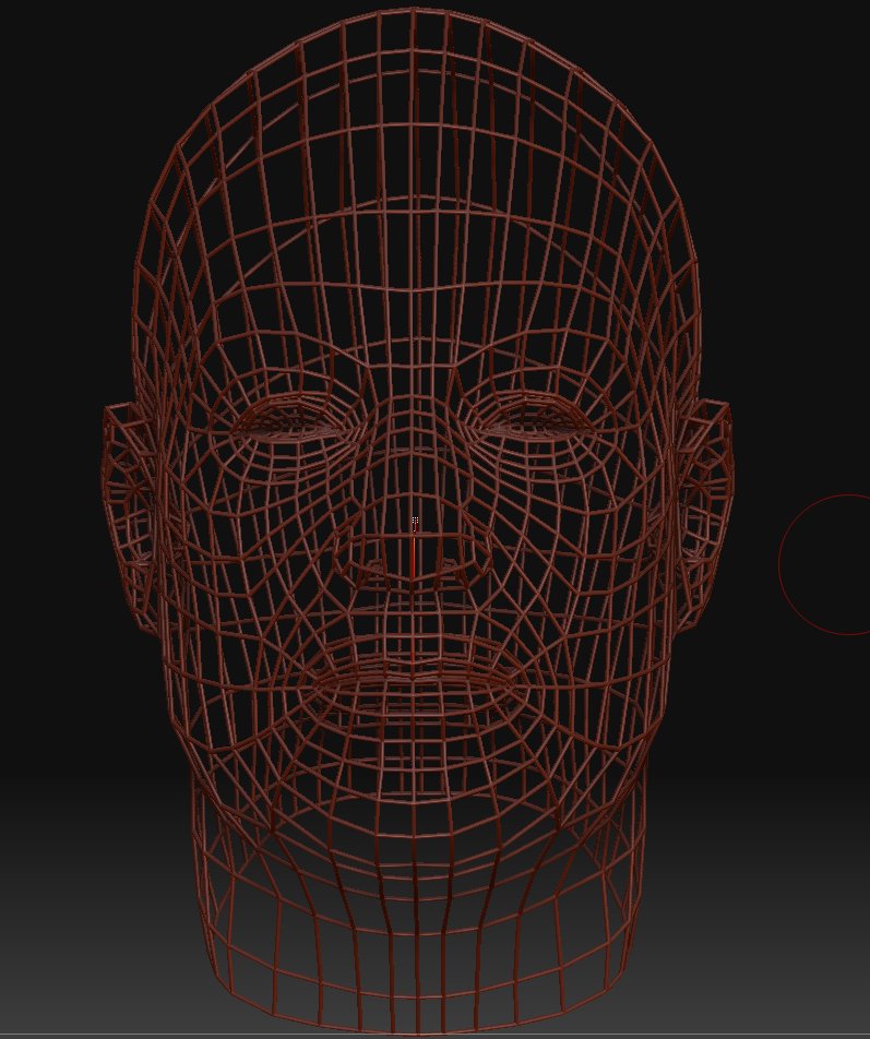 HumanHead_converted_to_main.jpg