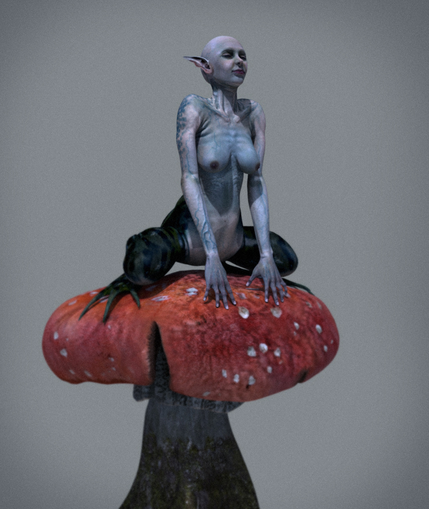 WF01.2.jpg