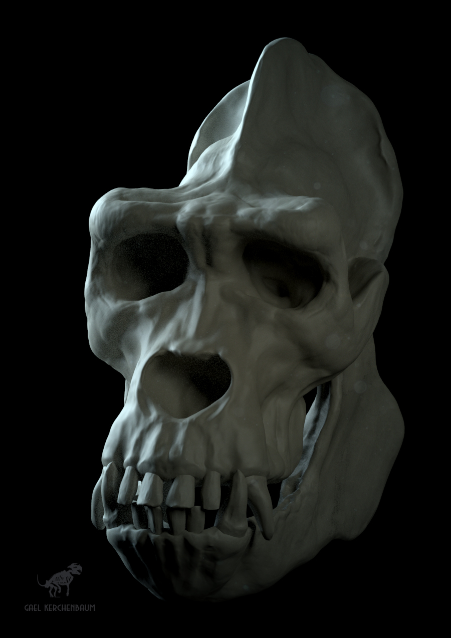 gorillaSkull_011_wip.jpg