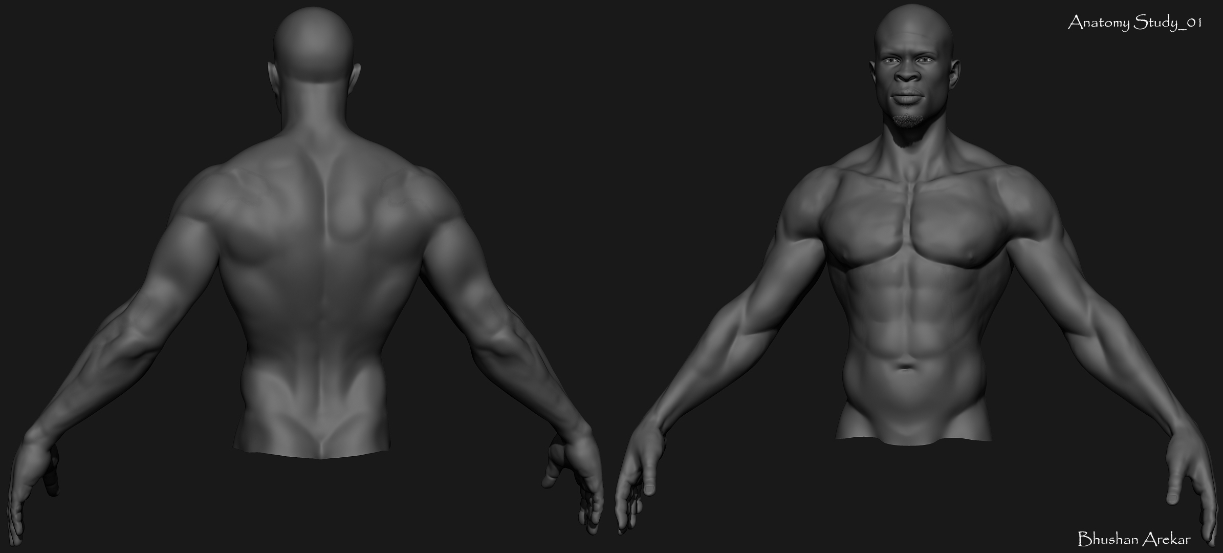 Anatomy Study_01a.jpg