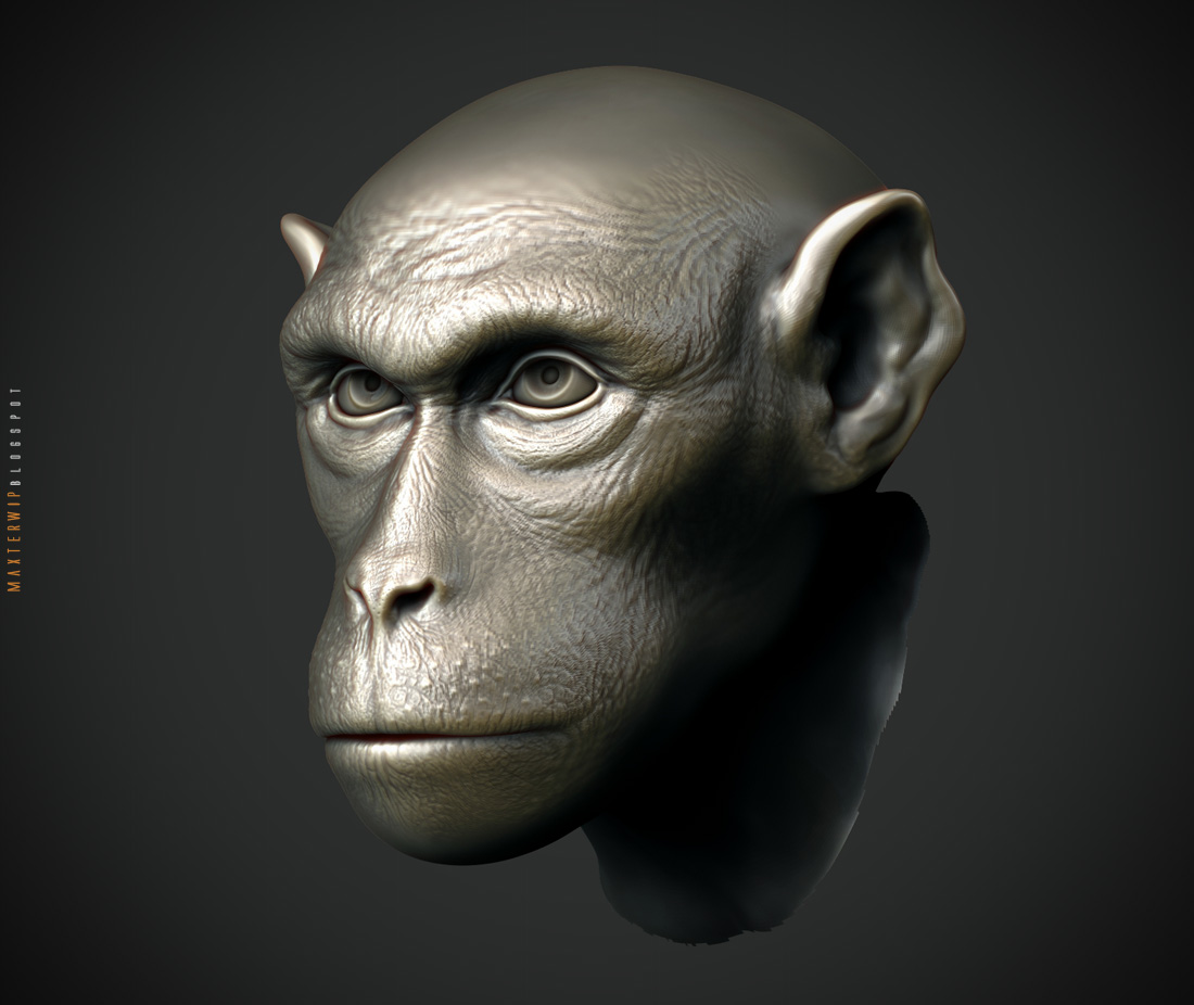 monkey_head.jpg