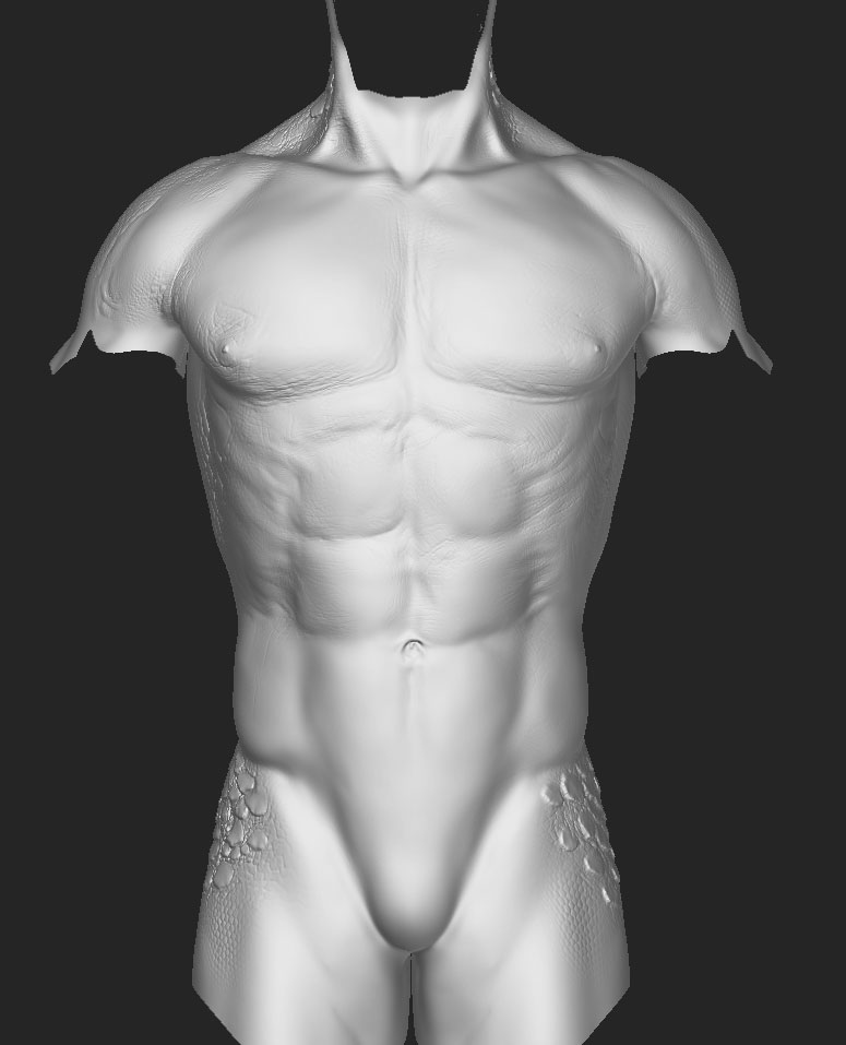 ztorso03.jpg