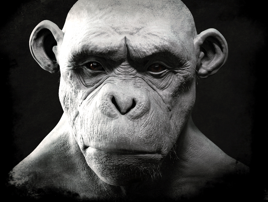 giant ape zbrush