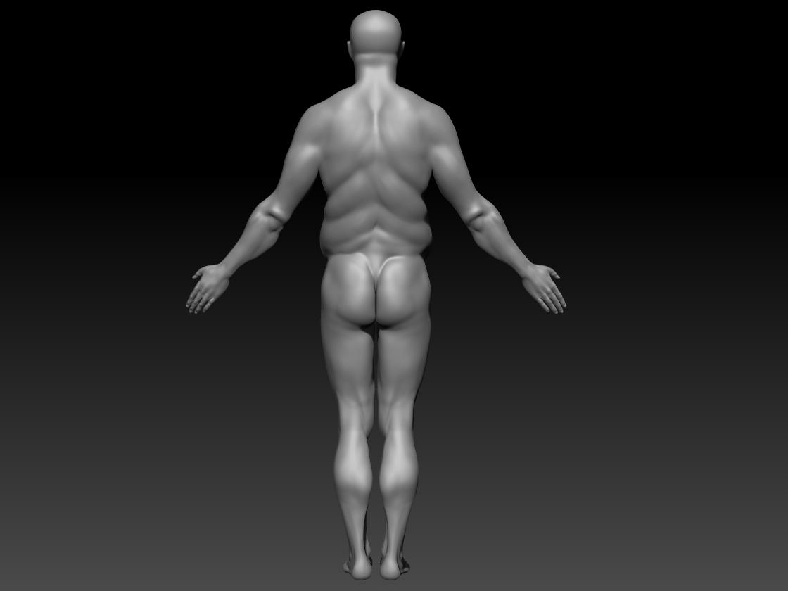 back.jpg