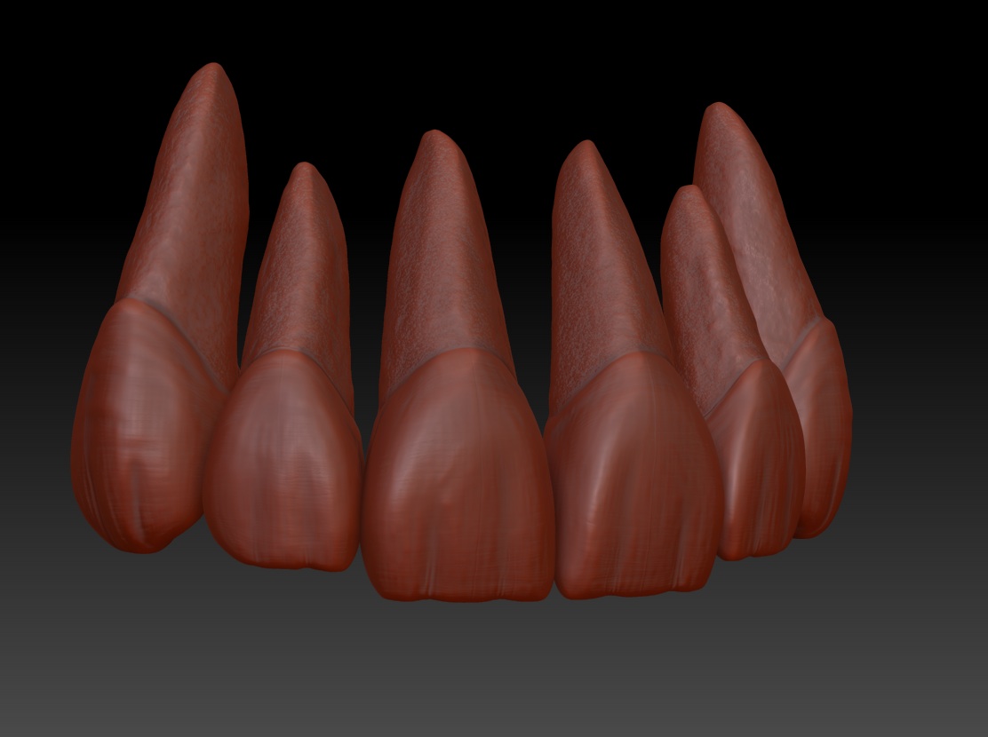 dientes-zbrush.jpg