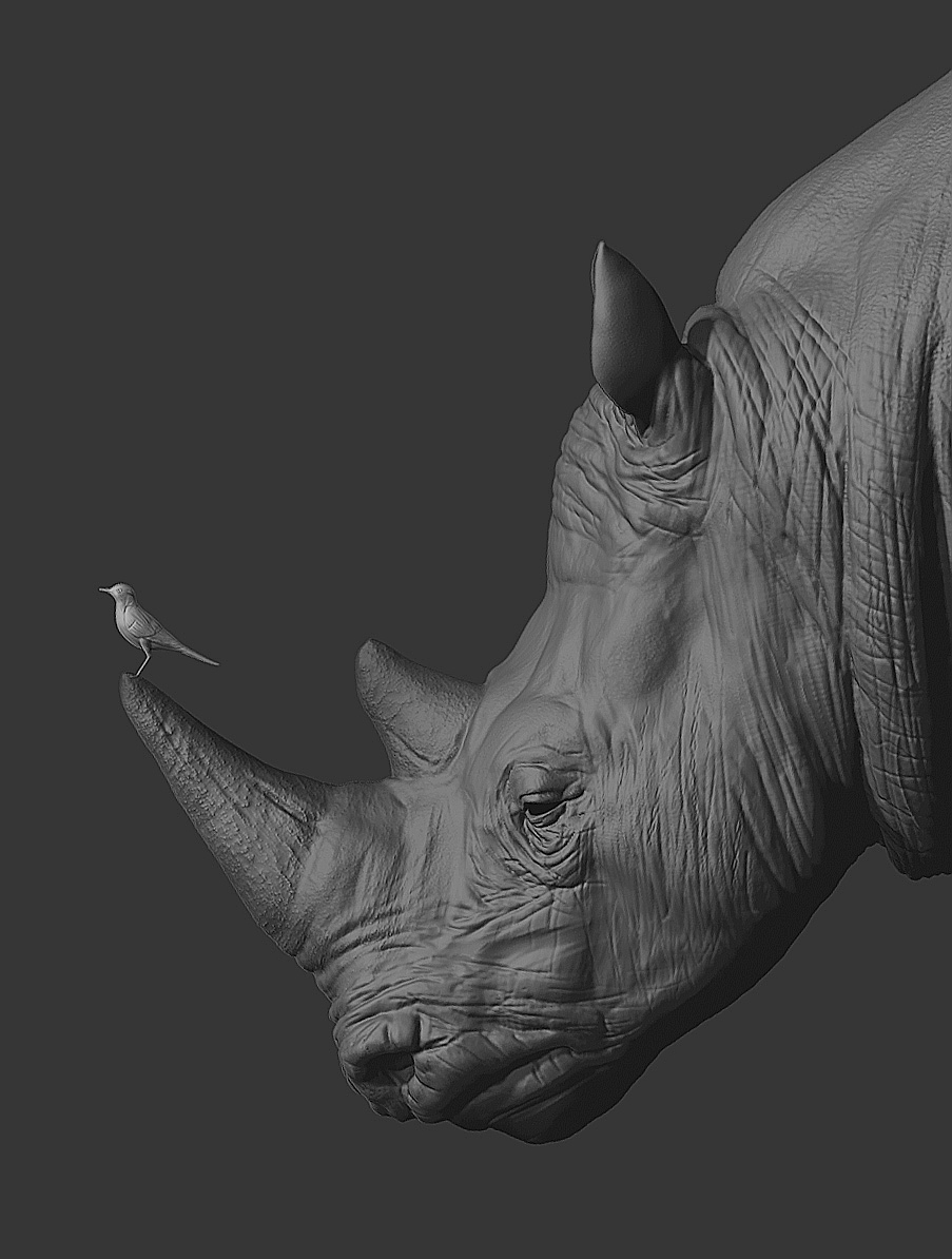 rhino edit.jpg