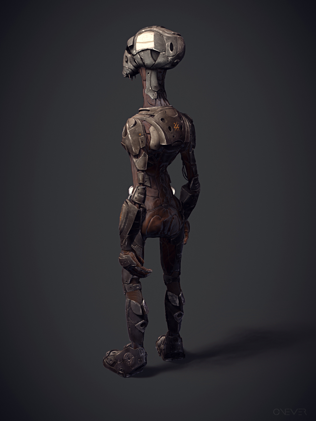 back.jpg