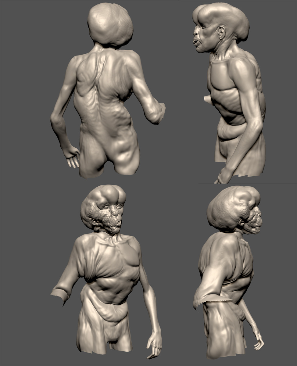 anatomy-wip2.jpg