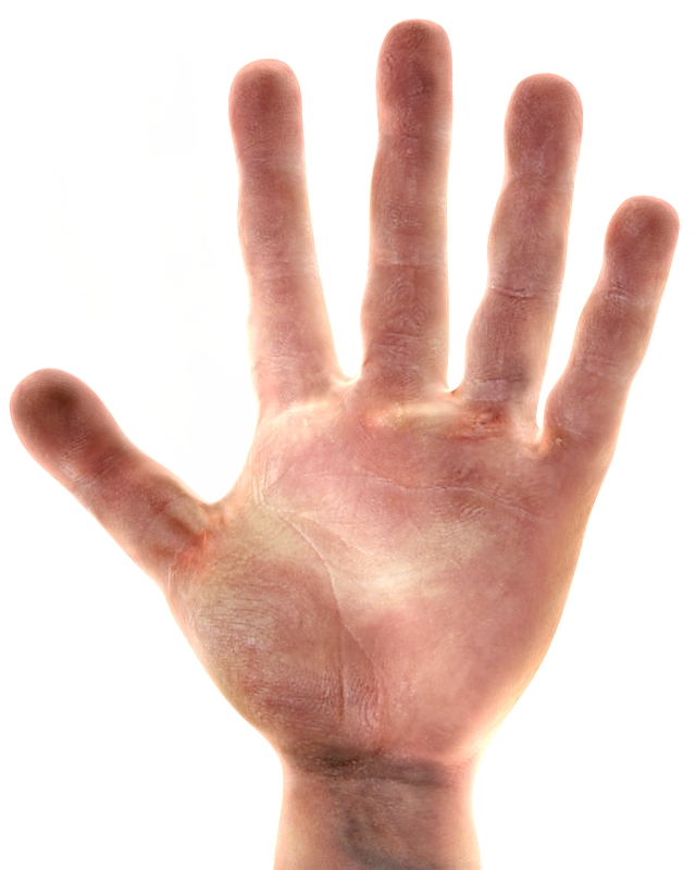 Mano 3 a.jpg