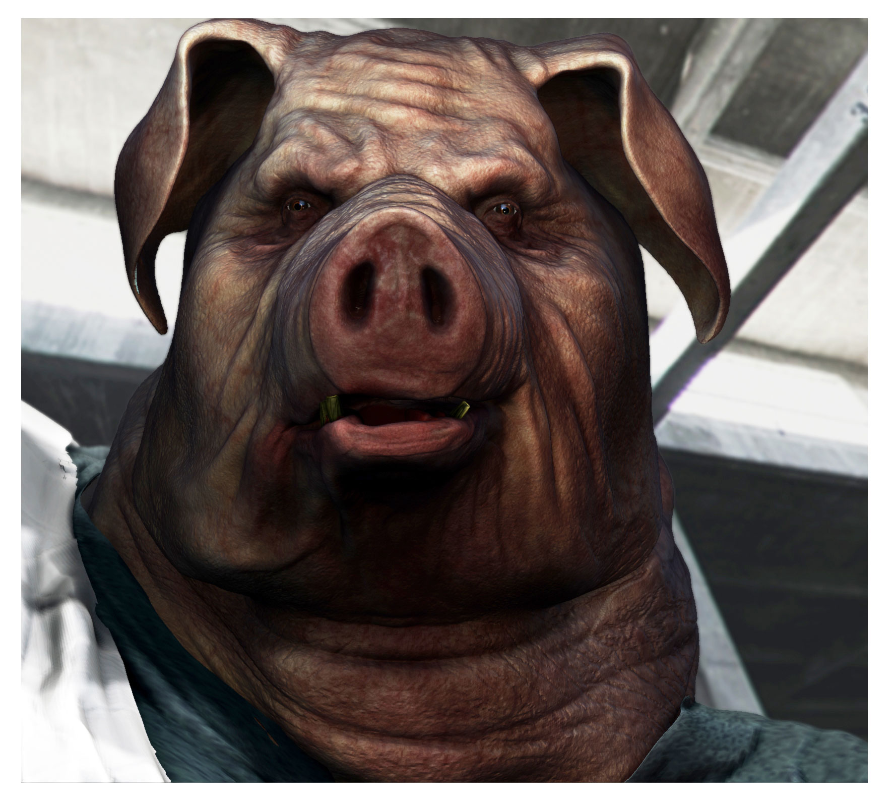 facel.jpg