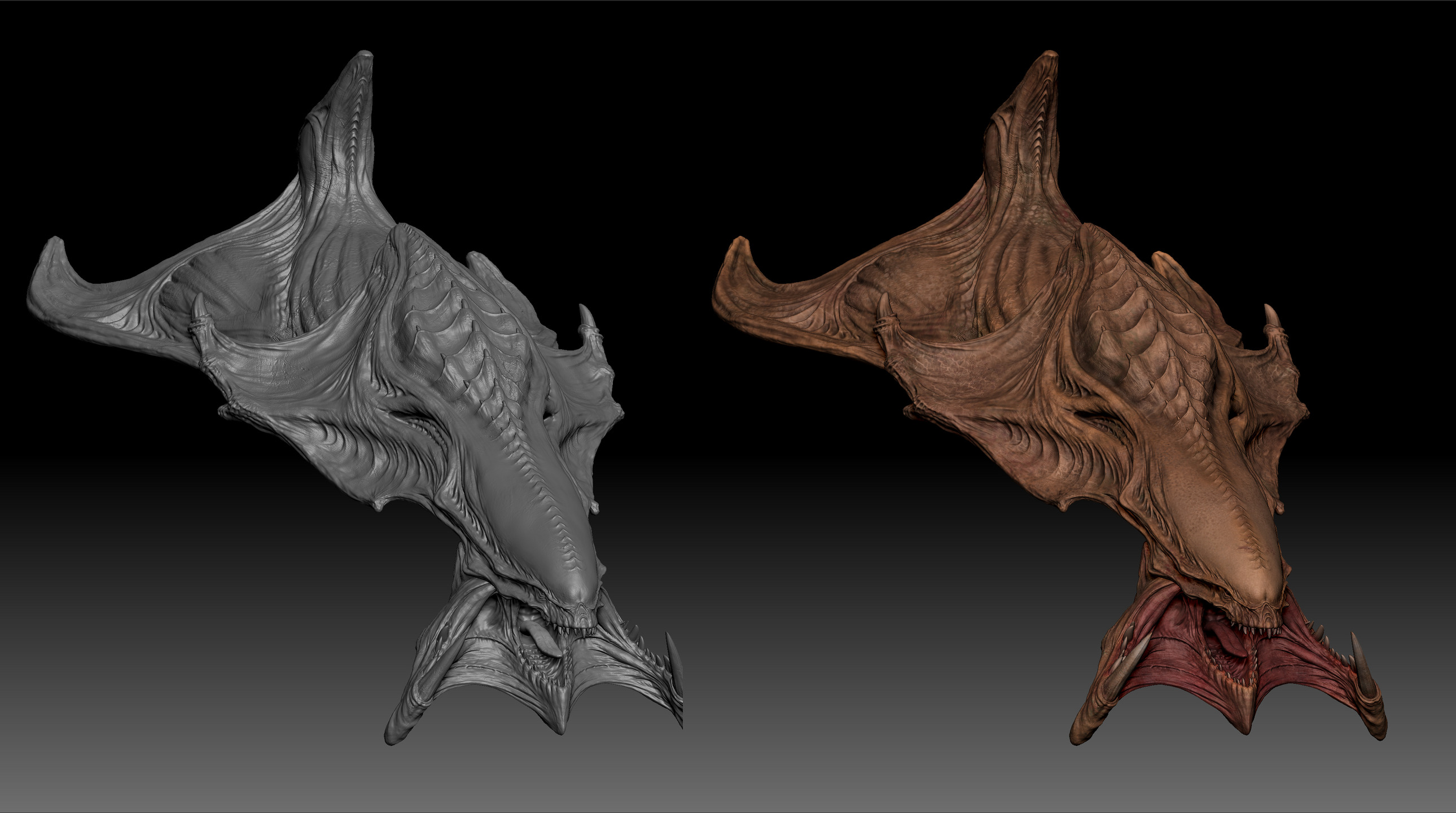 head_1.jpg