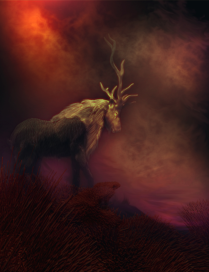 ELK 11.jpg