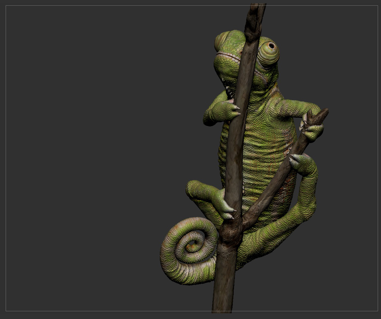Ztool 3.jpg