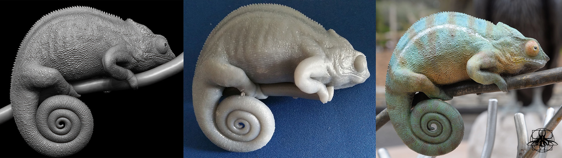 Chameleon.jpg