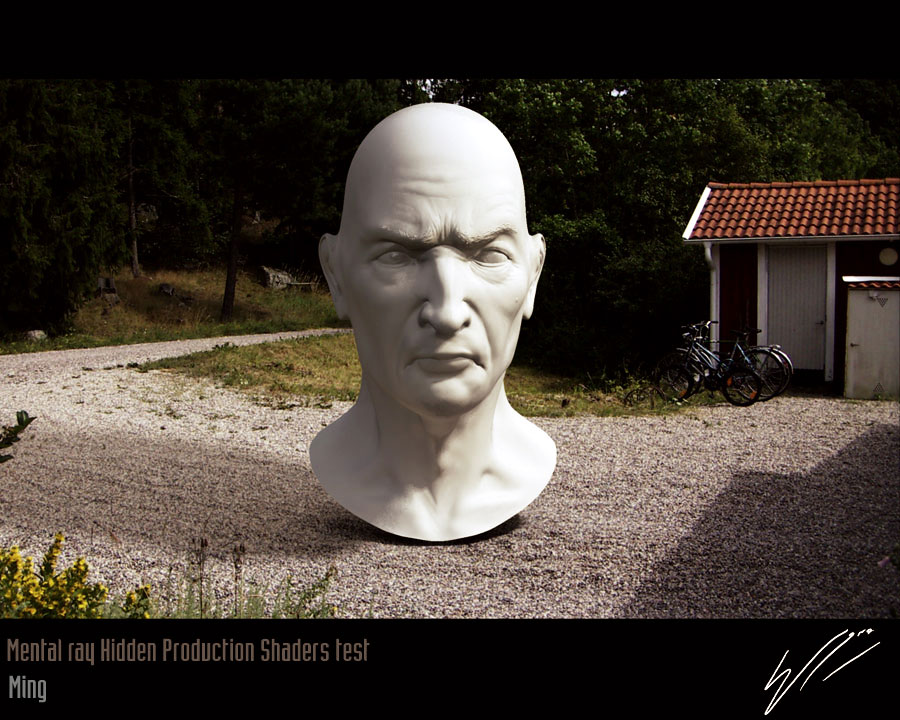 headtest-sm_col.jpg
