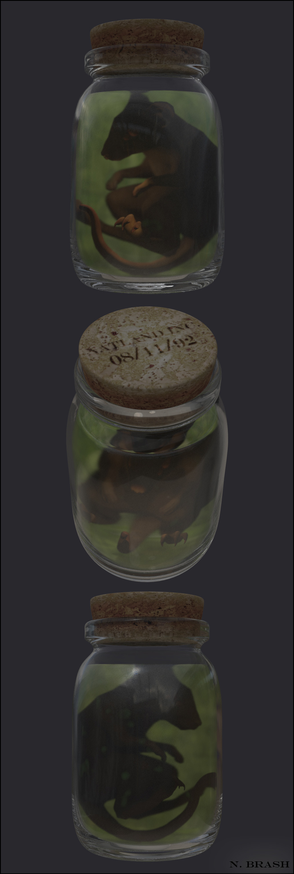 web_render1.jpg