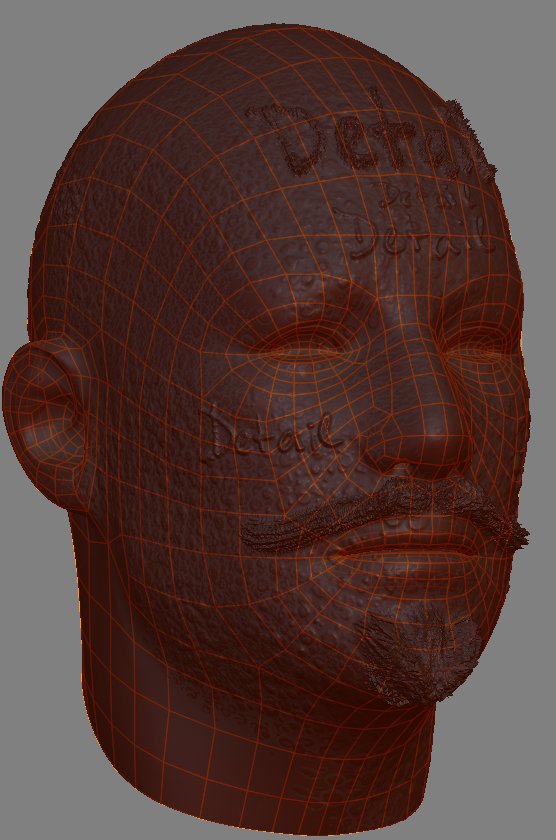 Retopo_detail-Topostatus_big.jpg