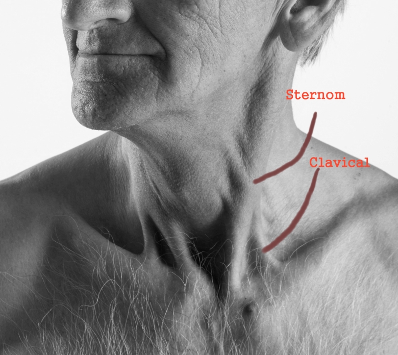Emanuel_poses_neck.jpg
