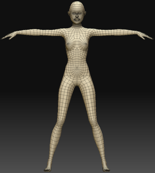 starter_woman1.jpg