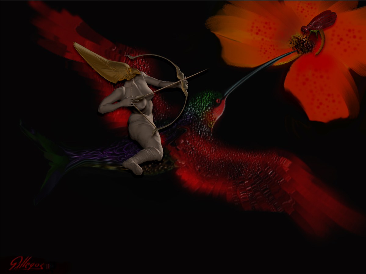 HUMMING BIRD 4.jpg