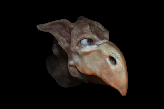 bridbigsmall.jpg