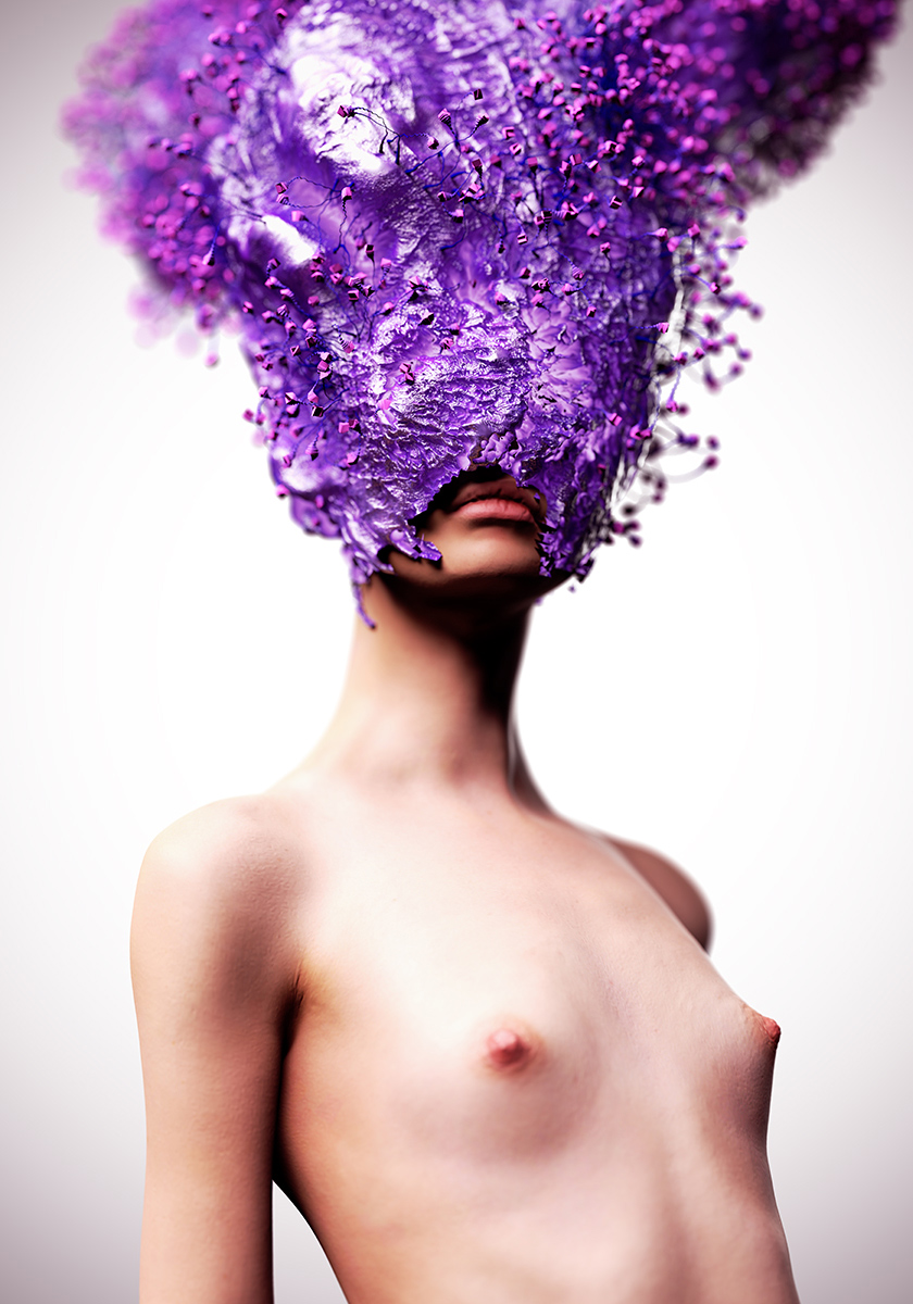violet_2.jpg