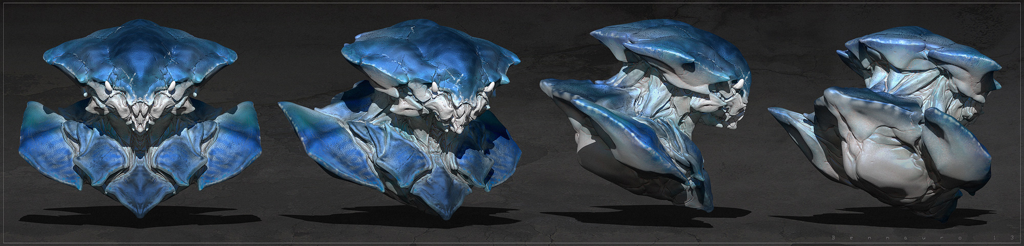 crab_ortho2_BM.jpg