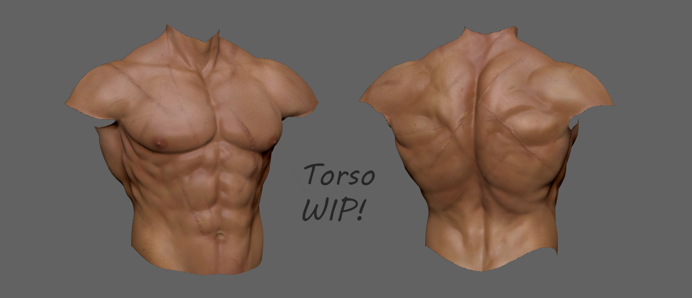 Torso Wip.jpg