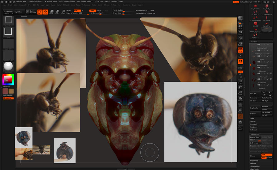 sphecomyrma_ZB02.jpg