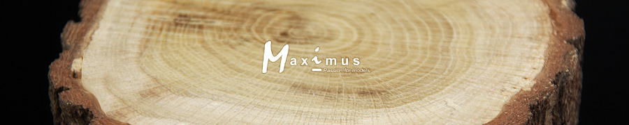 maximus_forums.jpg