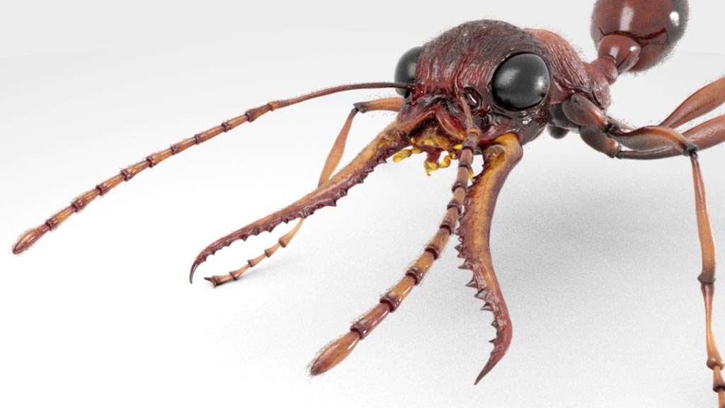 bulldogAnt_render_09.jpg