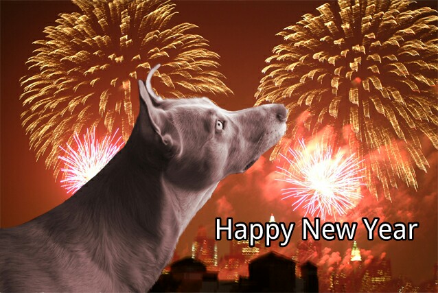 picsay-HappyNewYear.jpg