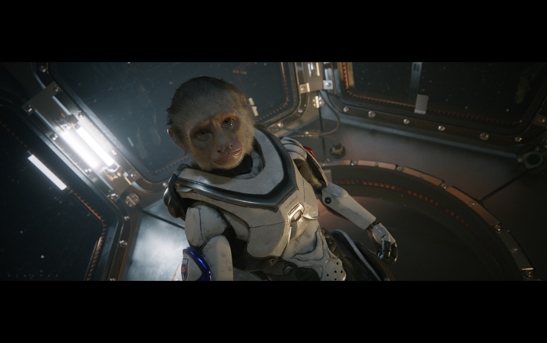 artur-szymczak-munkey-prev.jpg