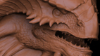 thumb002.jpg