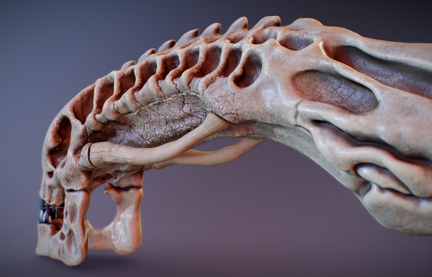 xenomorph_skull006.jpg