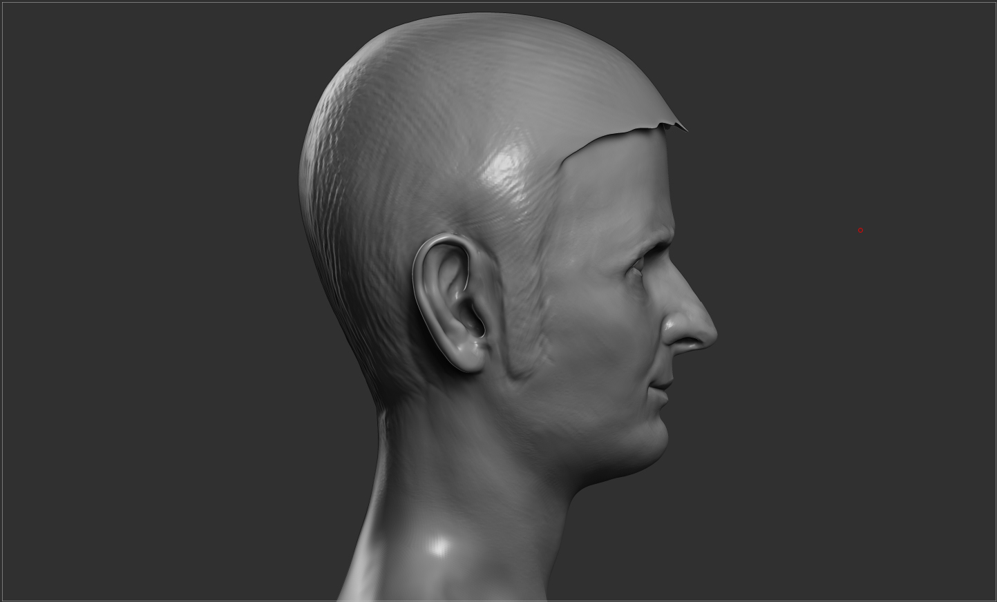 andyhead02.jpg