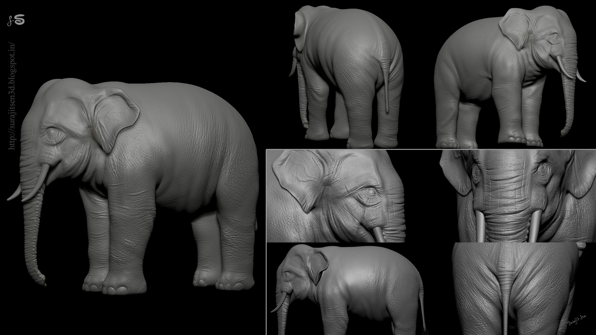 Asian_Elephant_Surajit_Sen_WIP_L.jpg