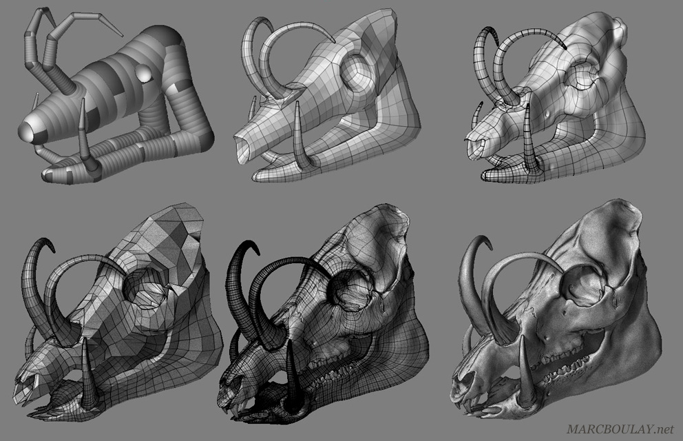plate_babyrussa_zbrush2.jpg