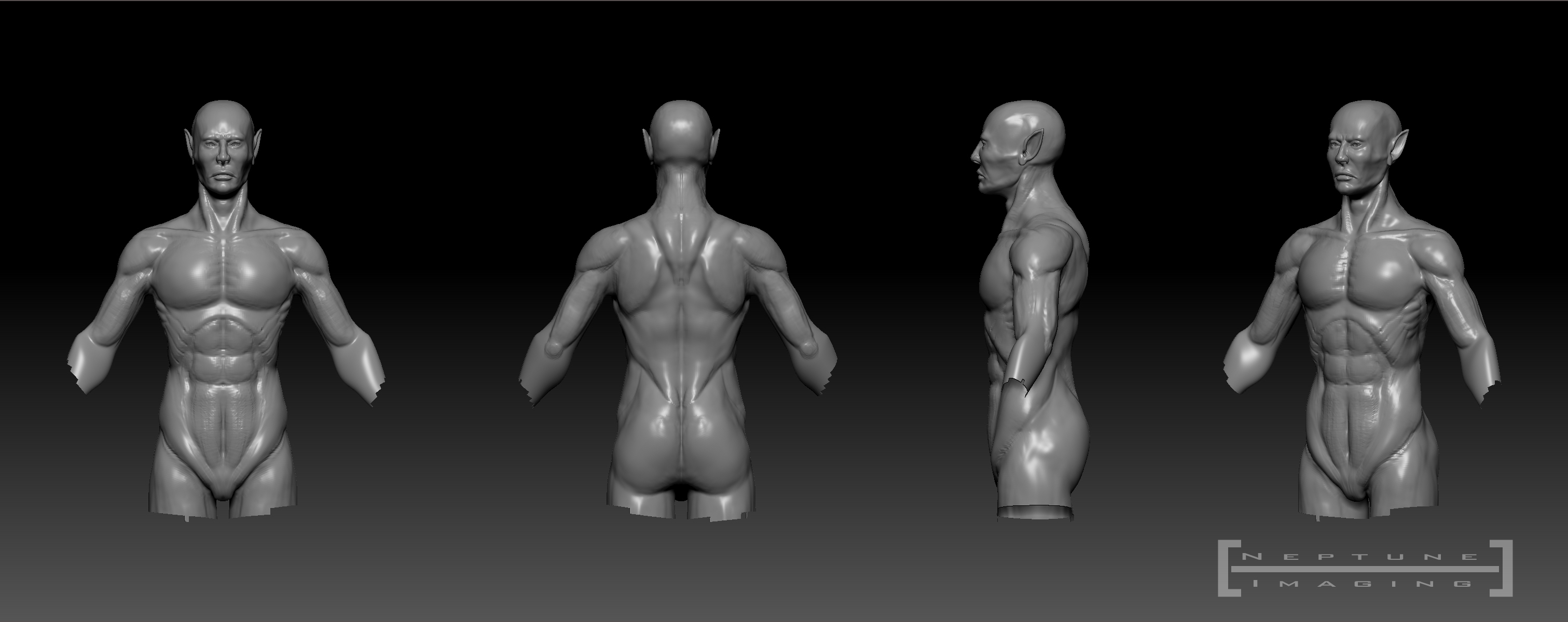 Torso-Progress.jpg